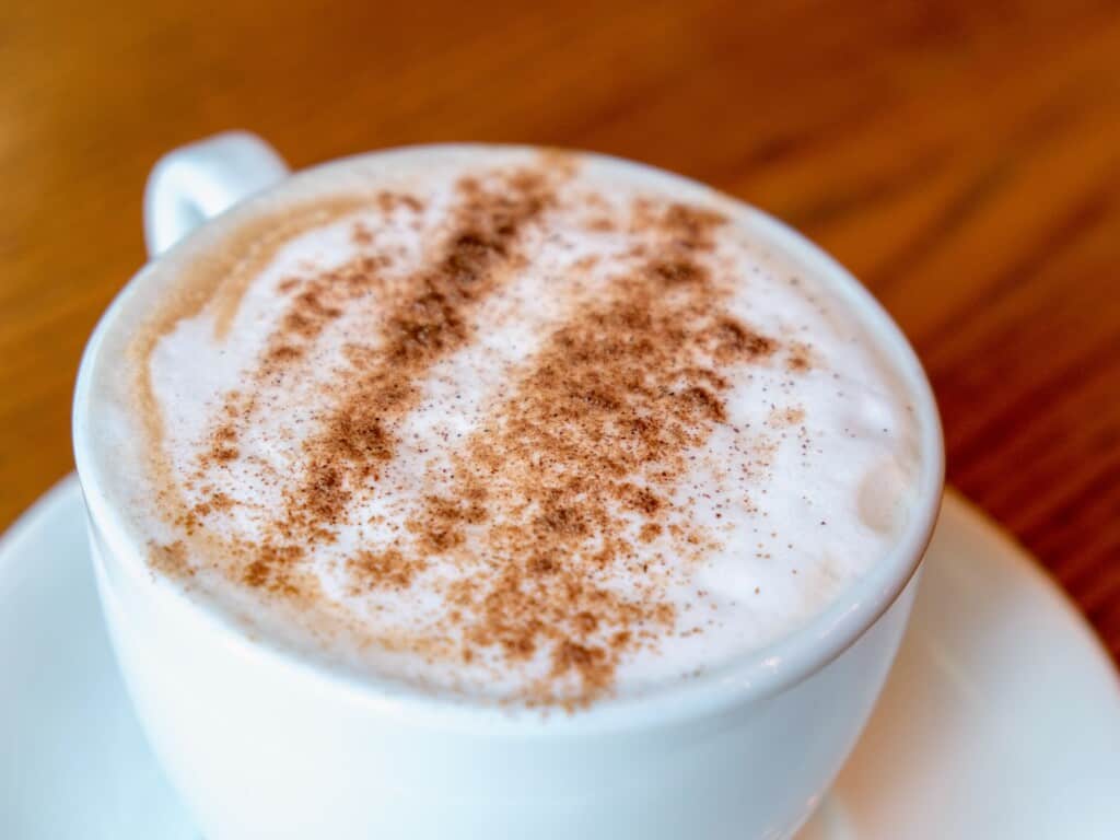 cappuccino in a white cup from up top topped with cinnamon