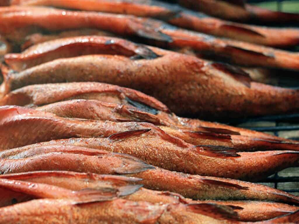 trouts being smoked on a grill close up