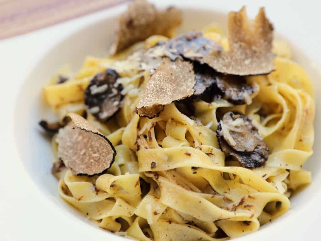 close up of tagliatelle dressed in fresh truffles and garnished with whole shaved truffles