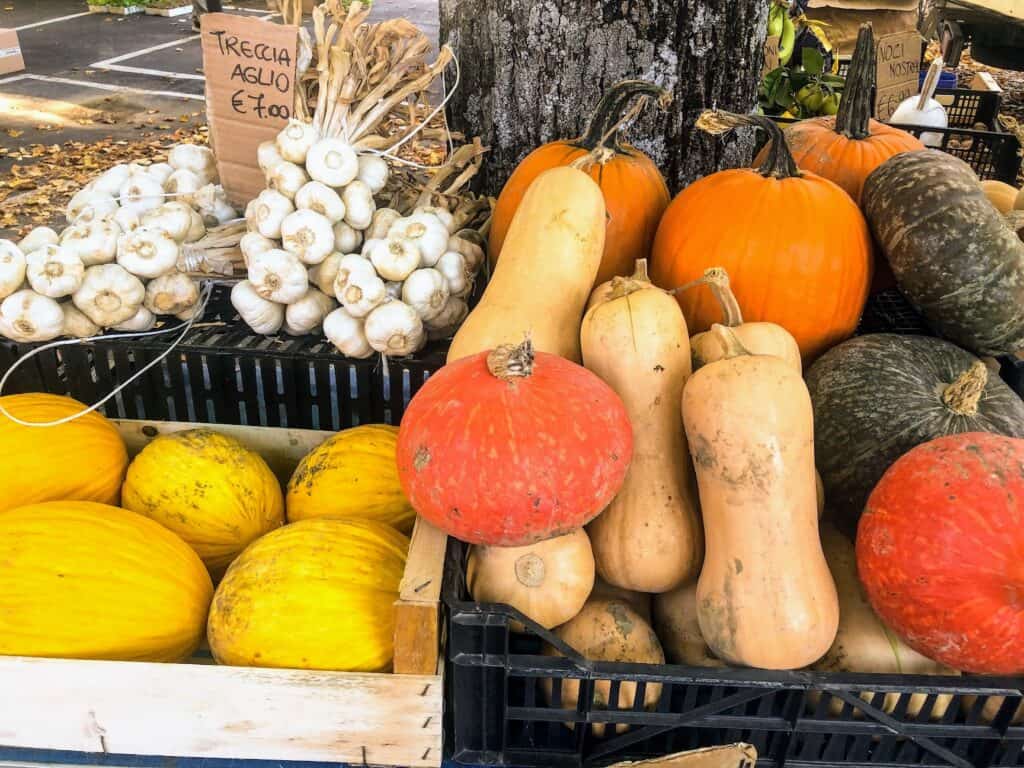 Local fall vegetables on display at an Italian market.