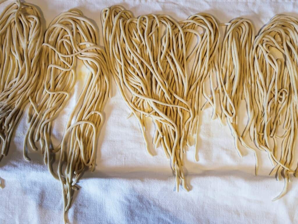 top view of bunches of handrolled pici pasta, similar to handmade spaghetti on a white background