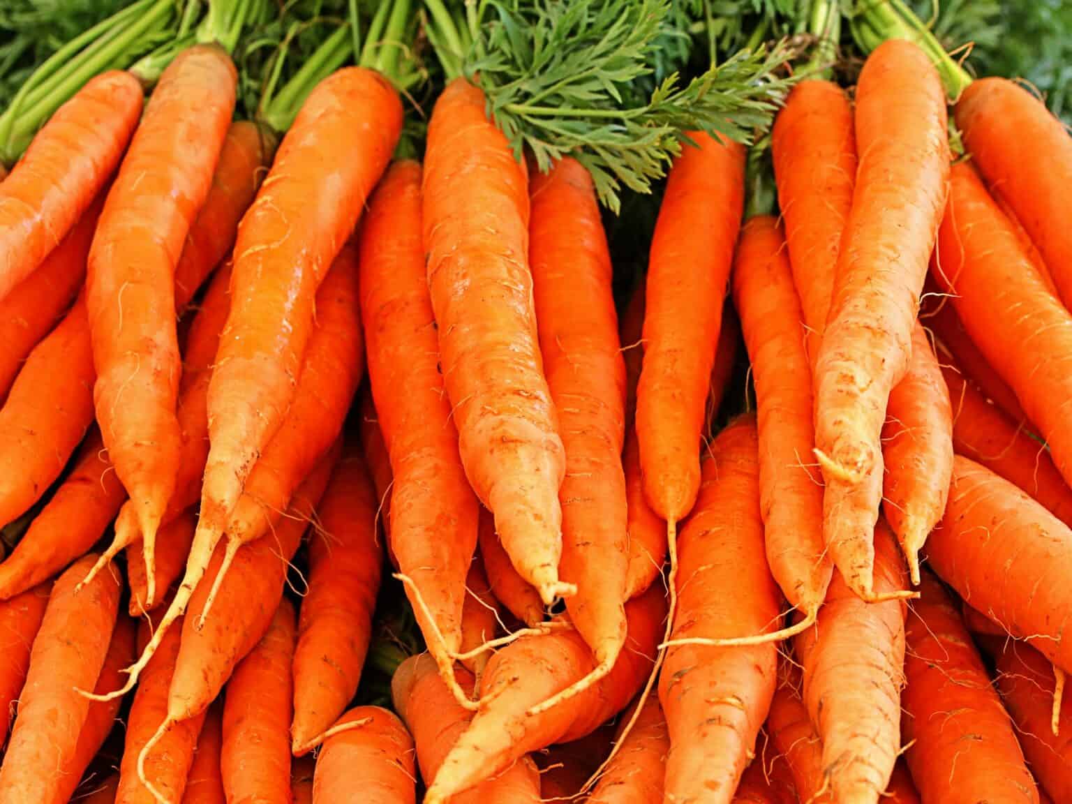 Italian Soffritto StepByStep Instructions + How to Use It Eating Around Italy