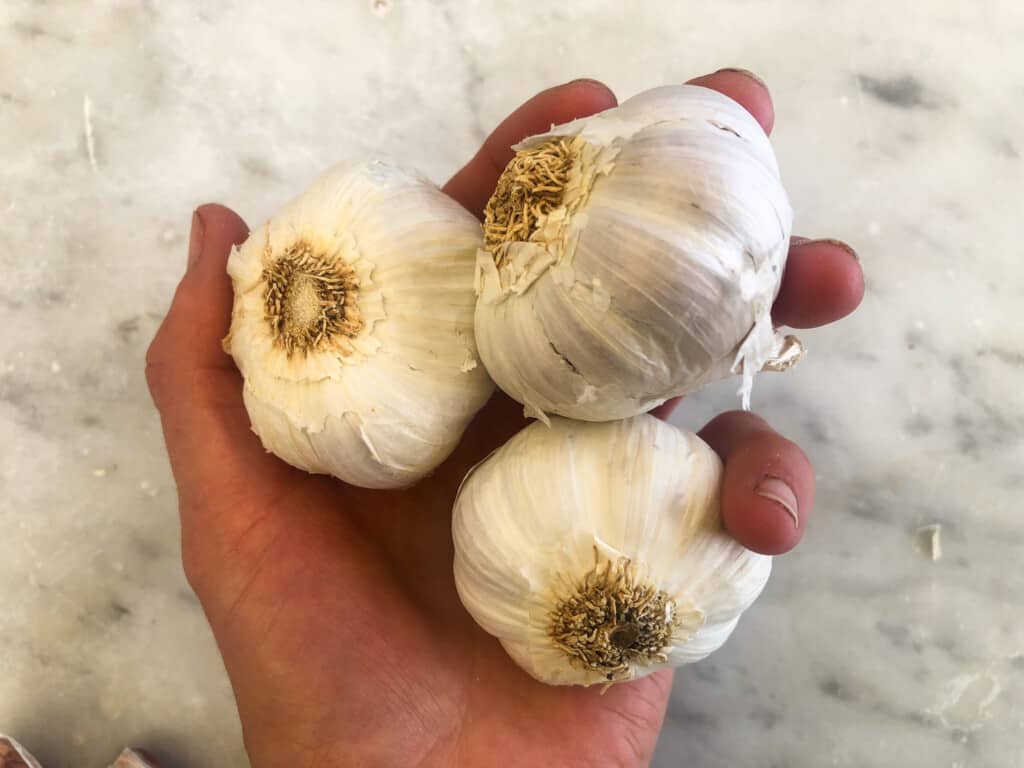 Hand holding three knobs of garlic.