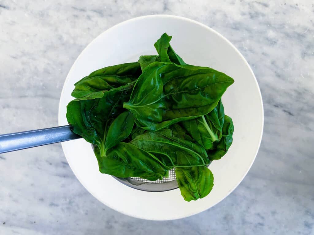 Blanched basil drained and held with spoon over white plate