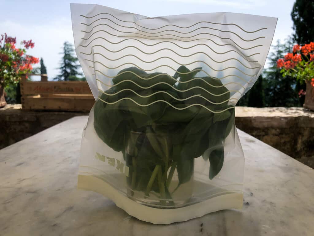 basil in a cup with a plastic bag on top outdoors on a marble table with trees in background