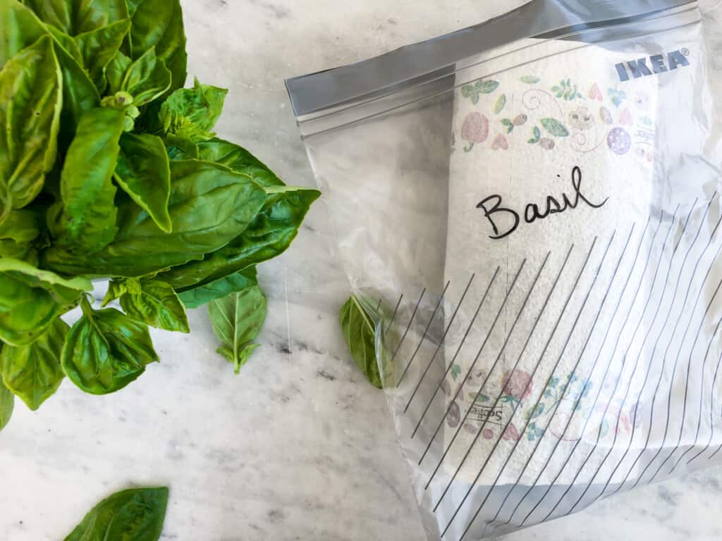 Basil written on a ziploc bag. You can see a paper towel inside and basil leaves on the left.