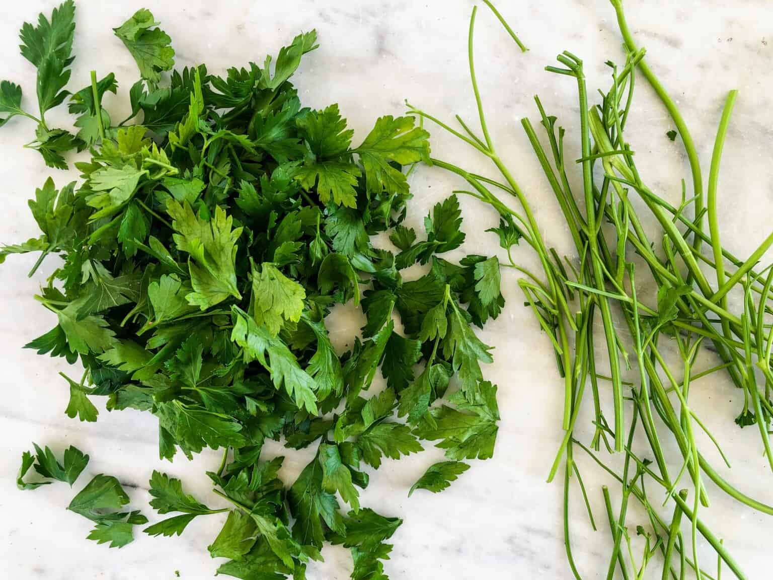 How To Freeze Parsley 3 Ways To Store Fresh Parsley Year Round