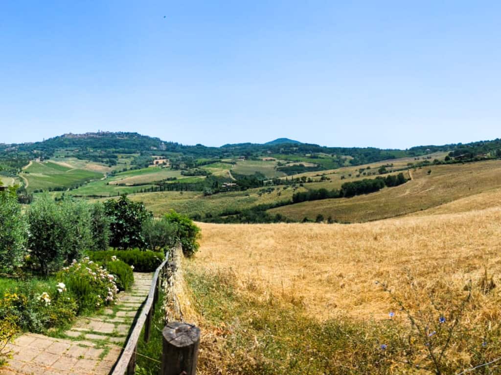 View of Montepulciano in the distance. Green and golden countryside.