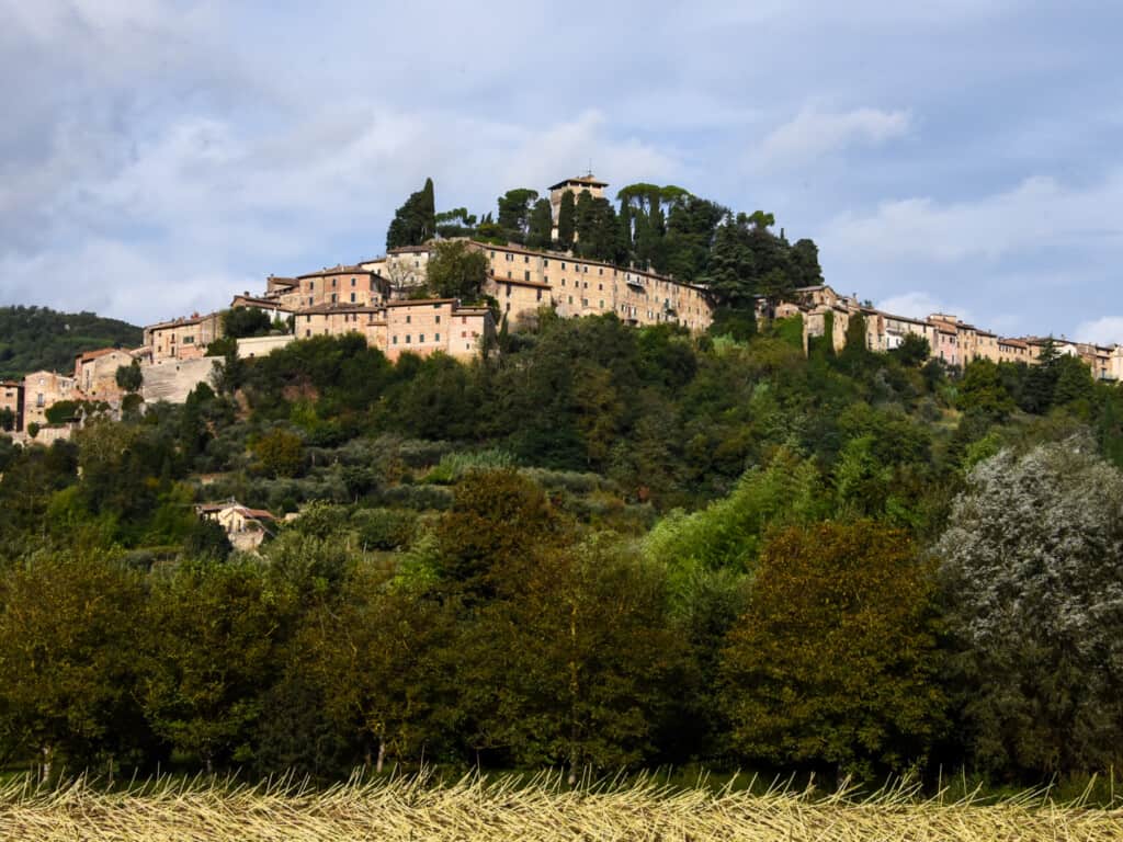 View of Cetona from below. You can see hilltop village and green bushes and trees in the village and on the hillside.