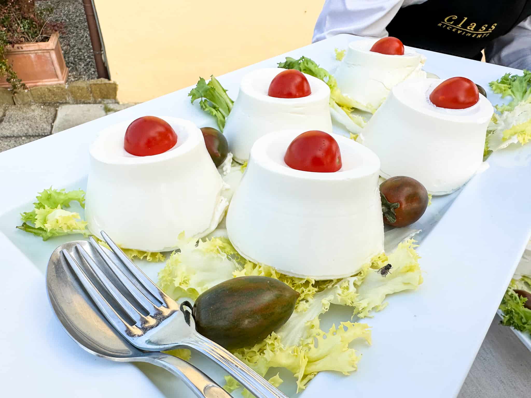 small mounds of ricotta cheese from side view on a plate garnished with tomatoes and lettuce on a table to be served at a buffet