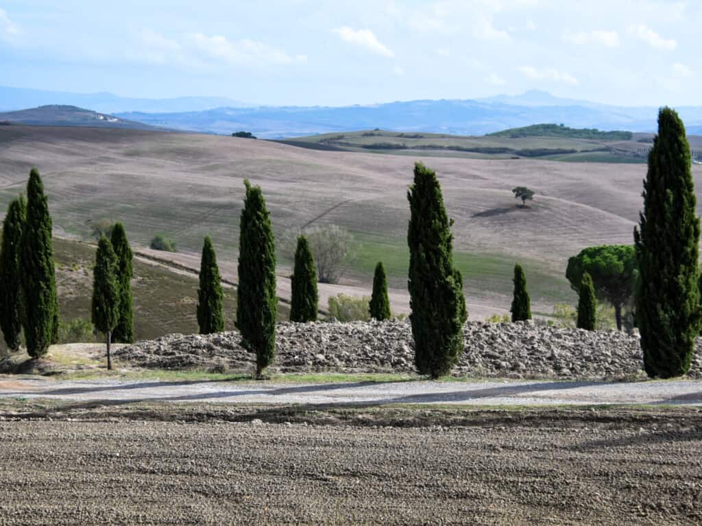 Rolling hills and cypress-lined drive in Southern Tuscany, Italy.