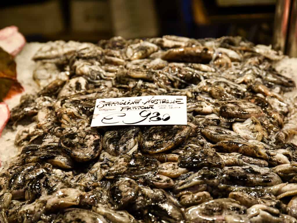 Fresh squid piled on ice and displayed at the Rialto Market in Venice, Italy.