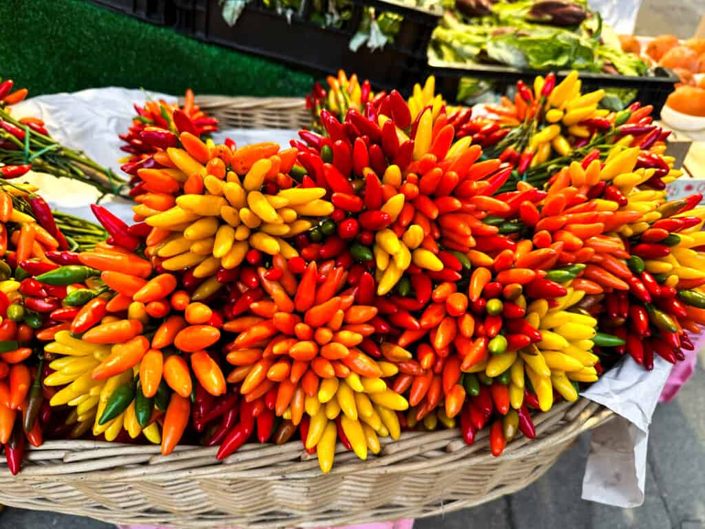 Beautiful bunches of red, orange, and yellow spicy peppers in a basket at the Rialto Market in Venice, Italy.