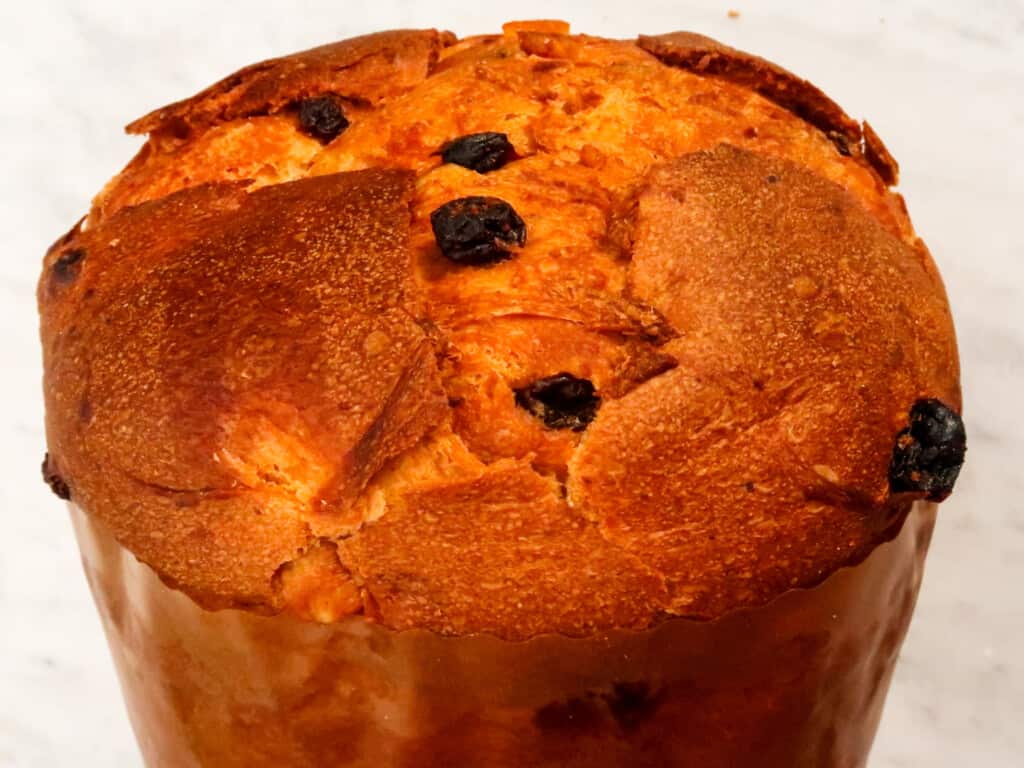 Whole, dome-topped panettone.