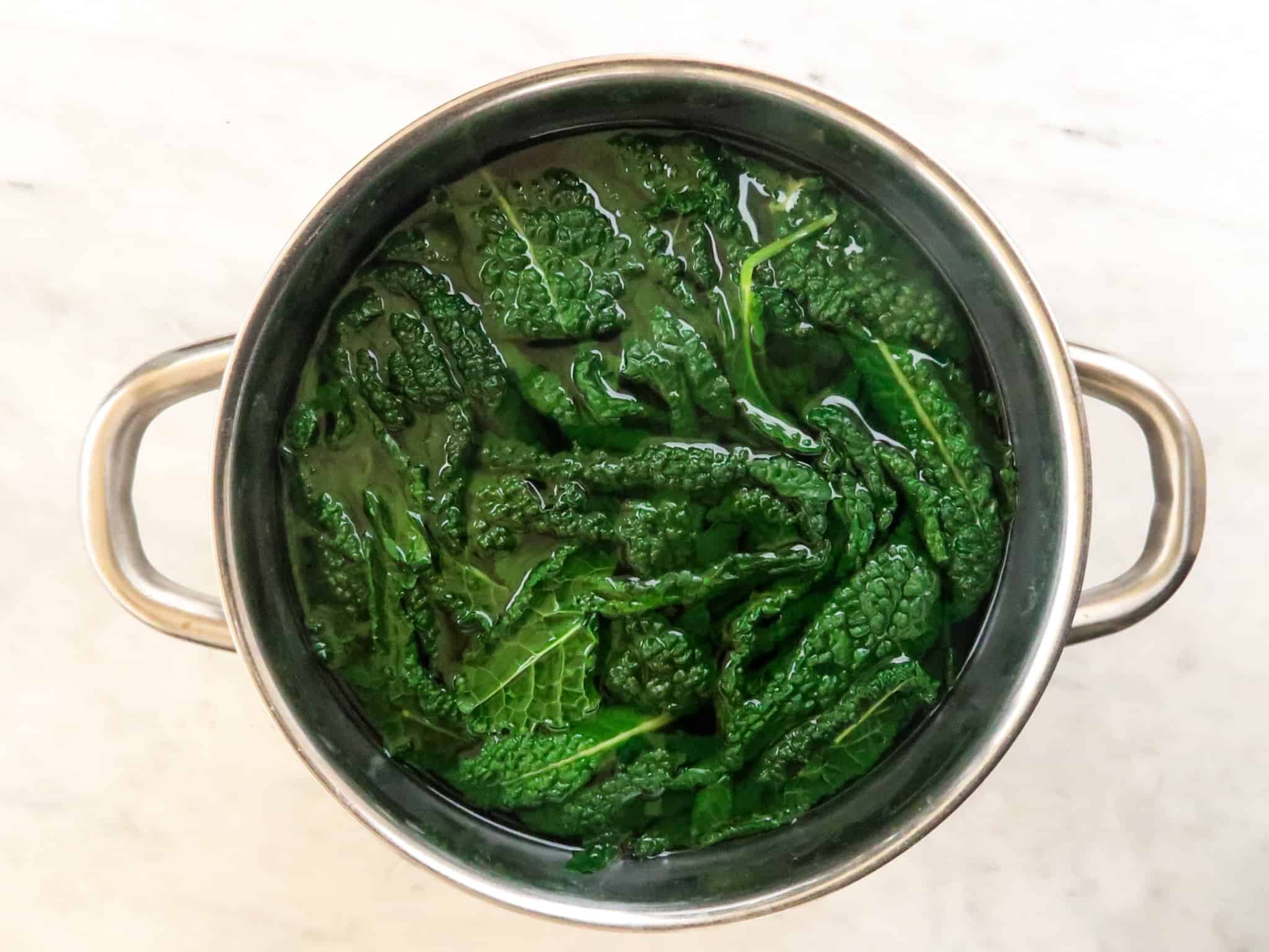 20 Minute Creamy Kale Pasta Recipe – A Green Pasta Your Family Will ...