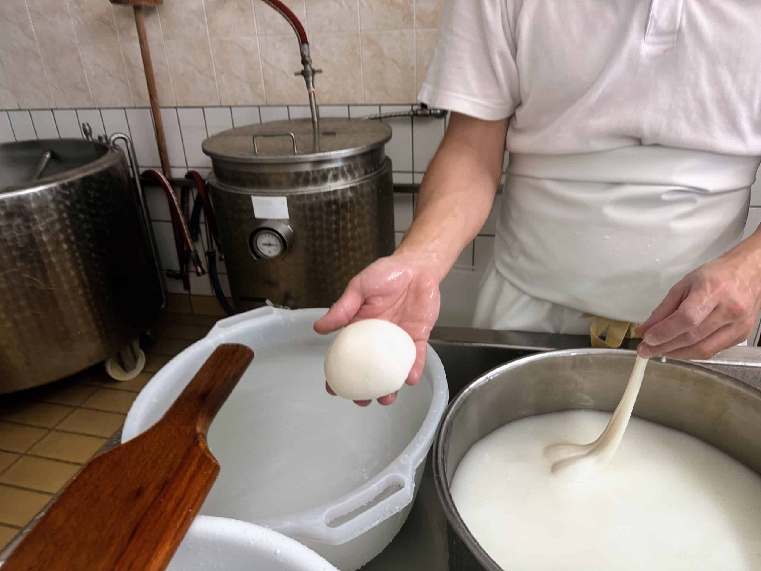 Cheesemaker's hand holds a ball of fresh mozzarella at a cheese farm in Puglia, Italy.