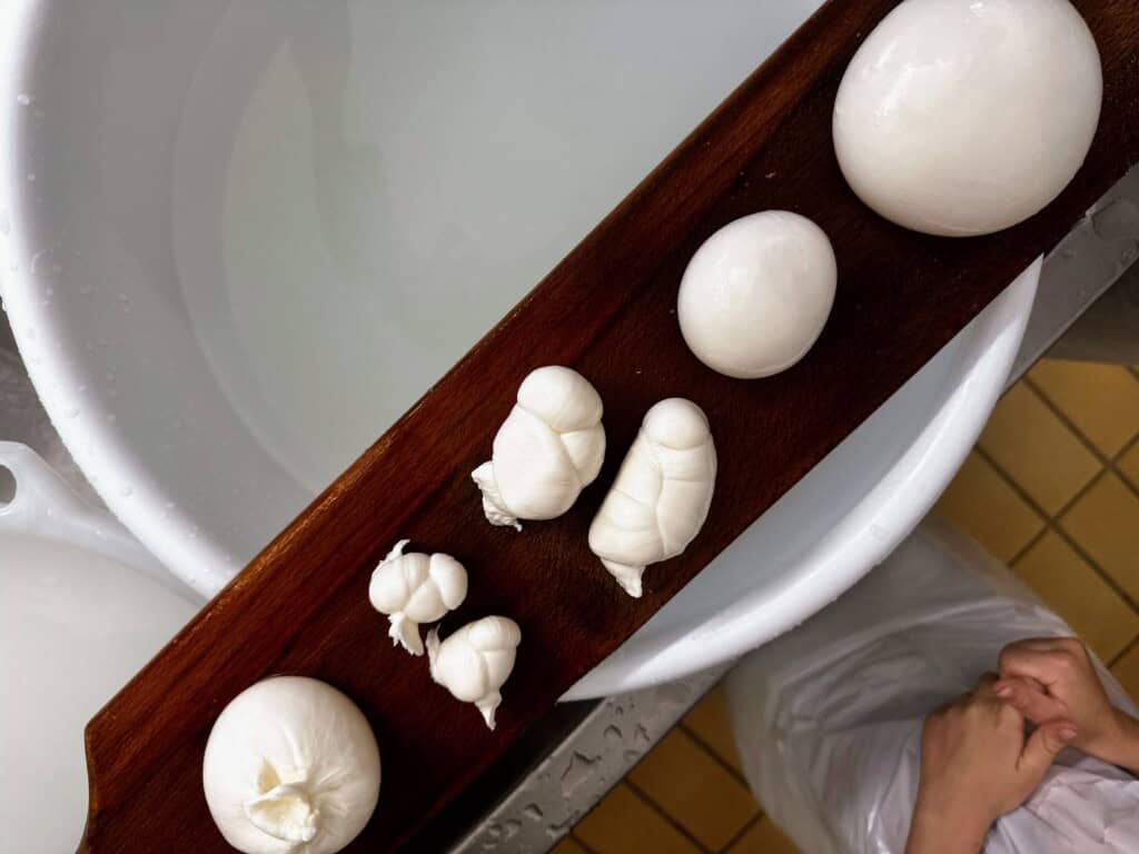 Wooden board with different shapes of mozzarella at a cheese factory in Puglia, Italy.
